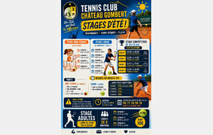 Stage d ete